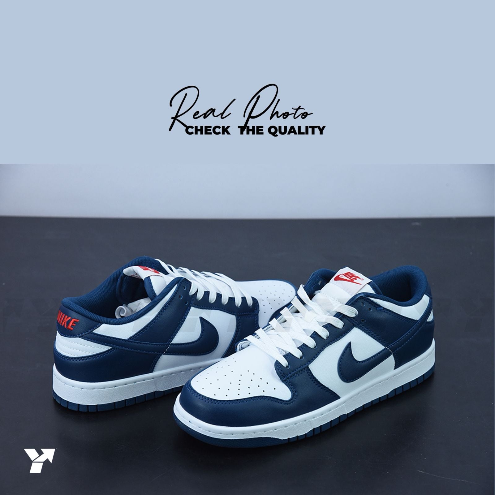 Nike Dunk Low Valerian Blue