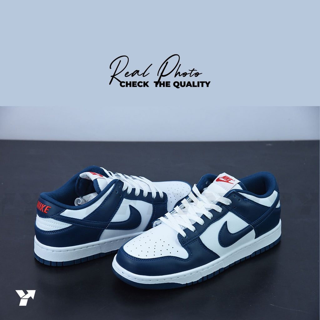 Nike Dunk Low Valerian Blue
